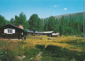 nipvallen.jpg