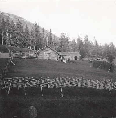 scan0002.jpg