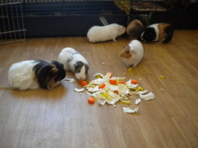 dscn1928.jpg