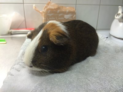 /img_1886.jpg