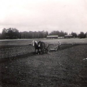 kurt-plojer-med-ljuna-och-stjarna-1952.jpg