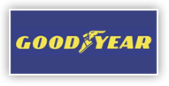 Good year logo