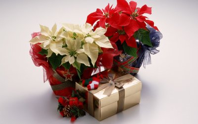 christmas-gifts-wide-981279.jpg