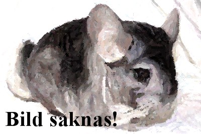 /bildsaknas1.jpg