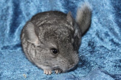/shirley18feb2020-1.jpg