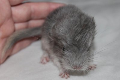 /juanita24aug2014.jpg