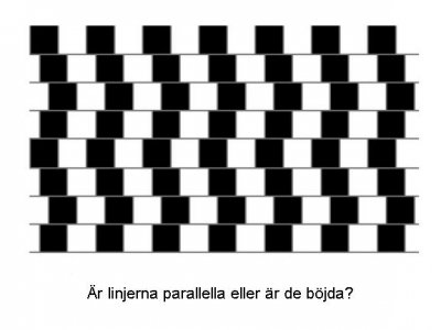 lines.jpg