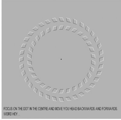 ring.jpg