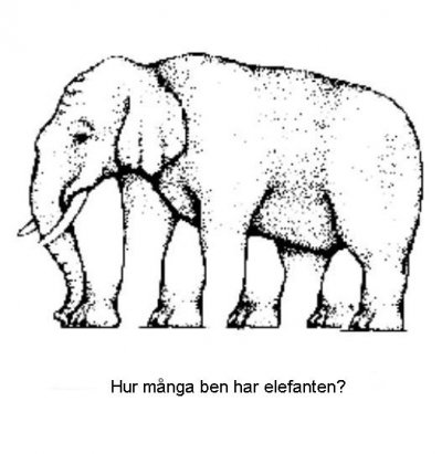 ele.jpg