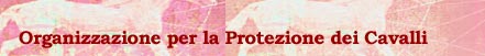 ILPH: lega internazionale per la protezione dei cavalli