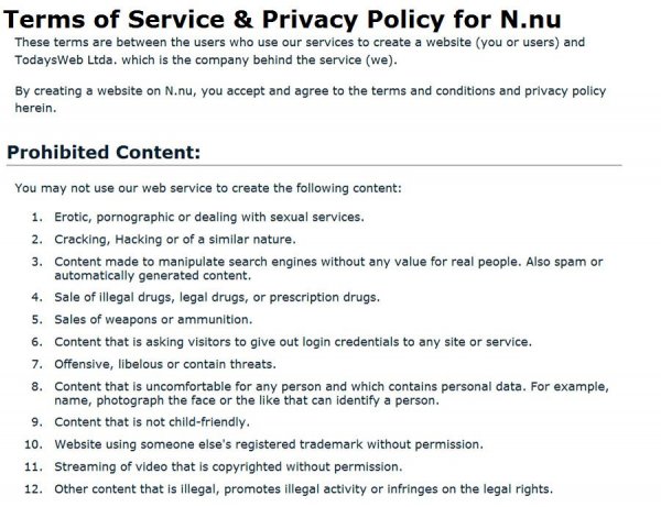 N.nu Terms of usage Homepage and website