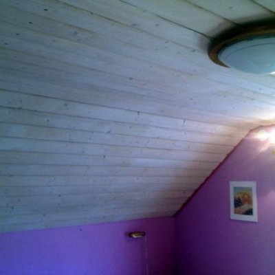 Vitbetsad stockpanel i snedtak