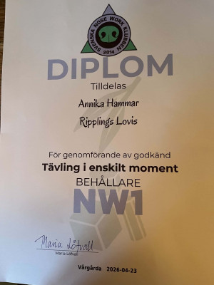 /lovis-nw1-beallarejfif.jpg