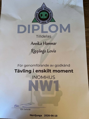 /lovis-nw1-innomhusjfif.jpg