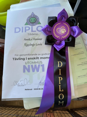 /lovis-nwjfif.jpg