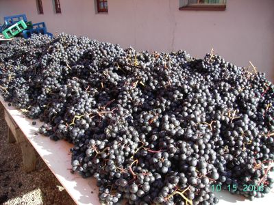 pict1379.jpg