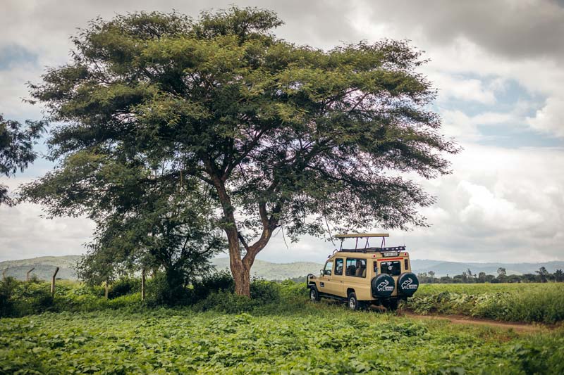 safaribil i Tanzania på resa