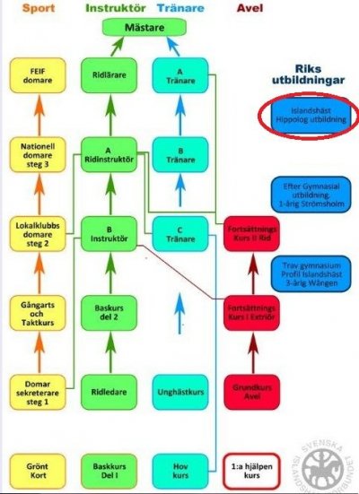 utbildningsskala.jpg