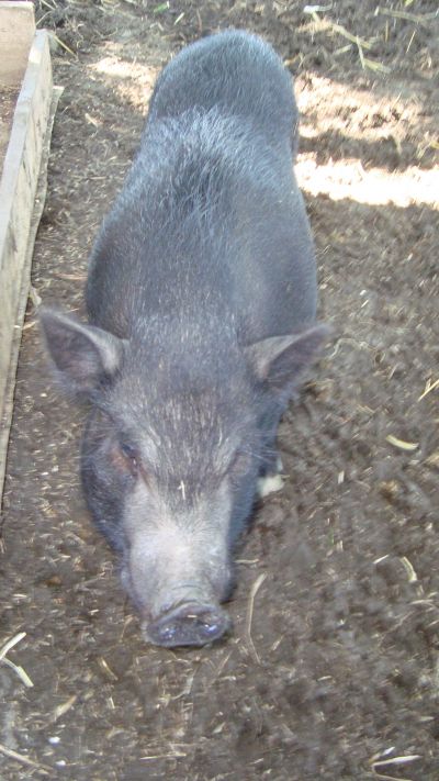 ovrigt-006.jpg