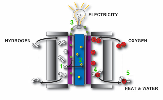 howfuelcellworks.jpg