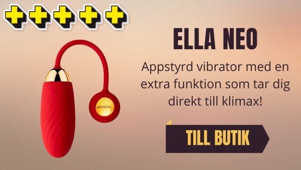 Inspiration Sexleksaker - Fjärrstyrd vibrator.