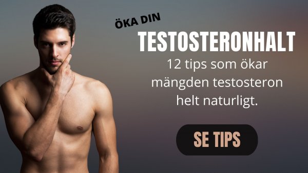 Sexleksaksguiden - Tips hur du kan öka testosteronhalten.