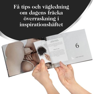 Inspirationshäfte medföljer julkalender.