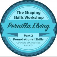 /shaping-skills-workshop-part-2.jpg