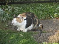 bild-986.jpg bild-986.jpg