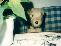 bild-672.jpg bild-672.jpg
