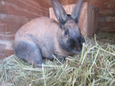 /img-11421.jpg