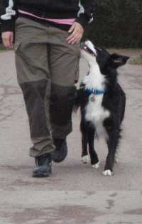 benno-001.jpg