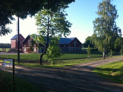 /bilder-till-peter-292.jpg