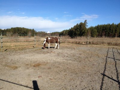 2013-04-27-08-55-53.jpg