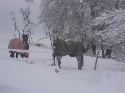 cimg2010.jpg
