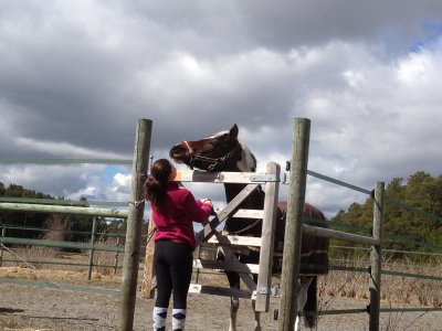 2013-04-28-13-25-24.jpg
