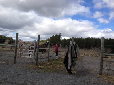 2013-04-28-13-22-41.jpg