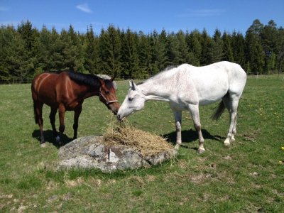 2012-05-19-12-53-06.jpg