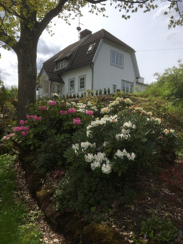 Karlagården, Ann-Christine Holmgrens trädgård