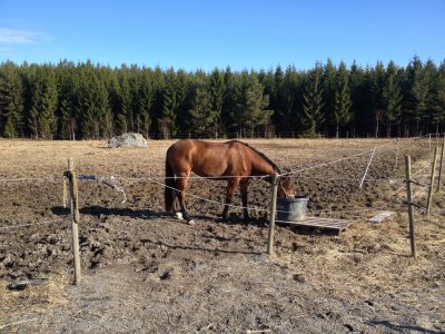 2013-04-27-08-21-54.jpg