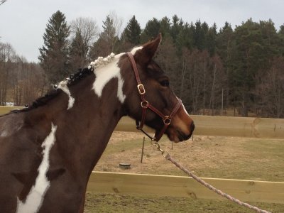 2013-04-19-17-50-05.jpg