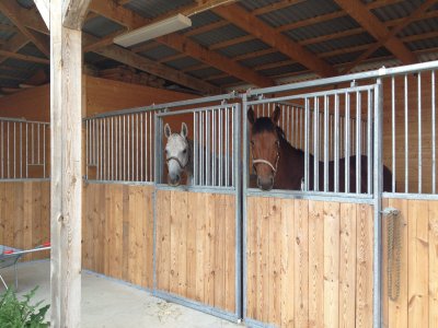 2012-06-15-16-52-35.jpg