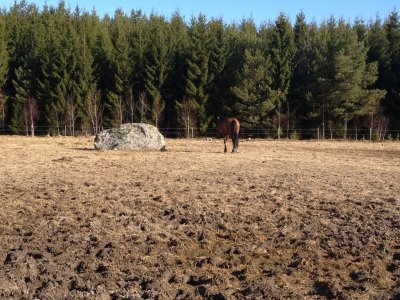 2013-04-27-08-22-39.jpg