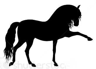 stock-vector-vector-arabian-and-andalusian-horse-s-silhouett
