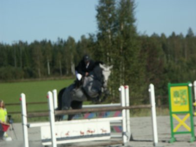 pict0061.jpg