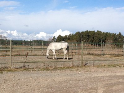 2013-04-27-09-01-52.jpg