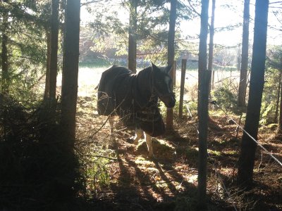 2012-11-15-09-55-41.jpg