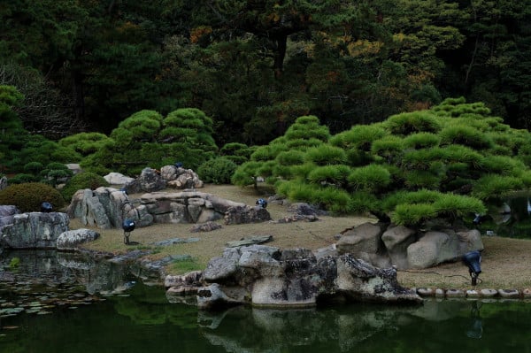 Japan garden