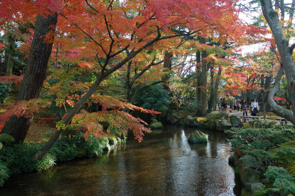 Japan garden