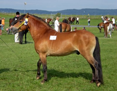 2009-2010-035-redigerad.jpg